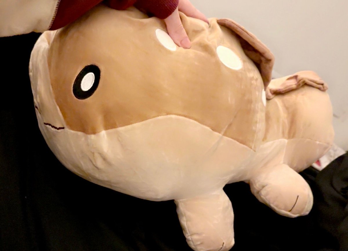 Shoal Crestide 🦦🫧 | 2.0 Debut May 2nd tweet media