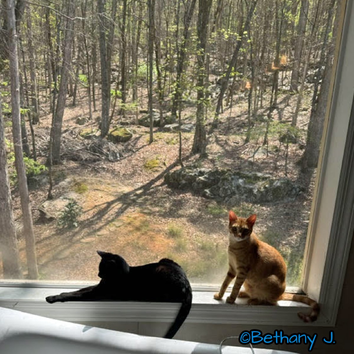 Robyn Anderson tweet media