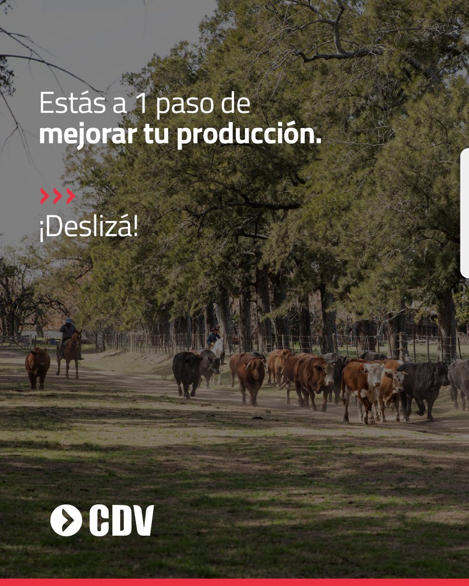 Laboratorio CDV tweet media