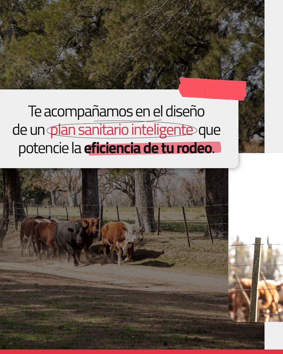 Laboratorio CDV tweet media