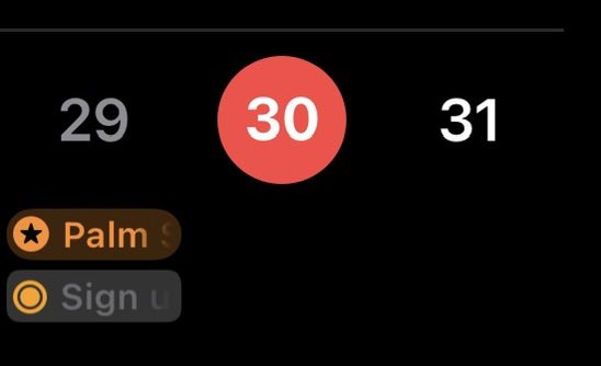 Gray 🔜 Orlando VGC tweet media