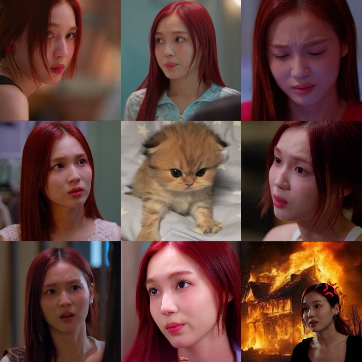 🐾 ᴋɴɴ tweet media