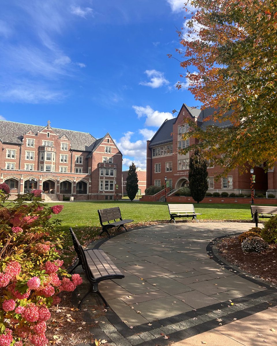 Elms College tweet media