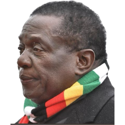 Born-in-SA🇿🇦 tweet media