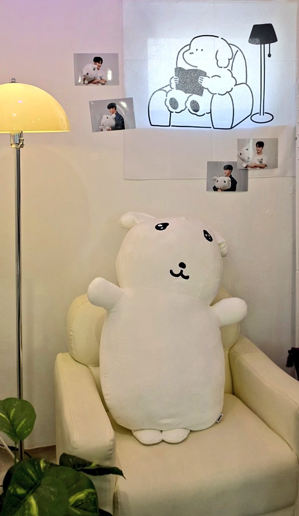 곰곰이 ᩚ tweet media