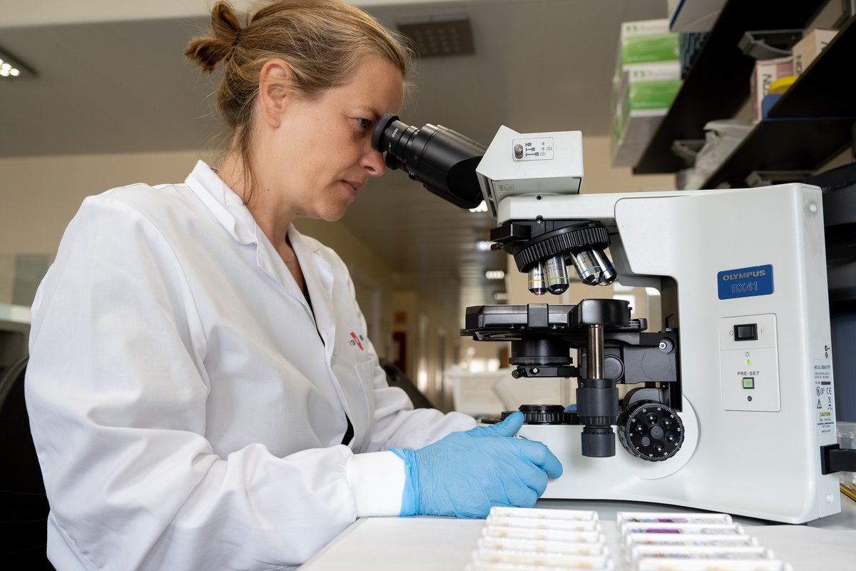 hospitalclinic's tweet image. Sabies que al #CLÍNIC- @idibaps s’hi fa #recerca biomèdica competitiva d'abast internacional? 

Té 7⃣ plataformes:

🔷Biobanc
🔷Estadística mèdica
🔷Ressonància magnètica
🔷Citometria i separació cel·lular
🔷Genòmica funcional
🔷Assajos clínics
🔷Computació científica

ℹ️