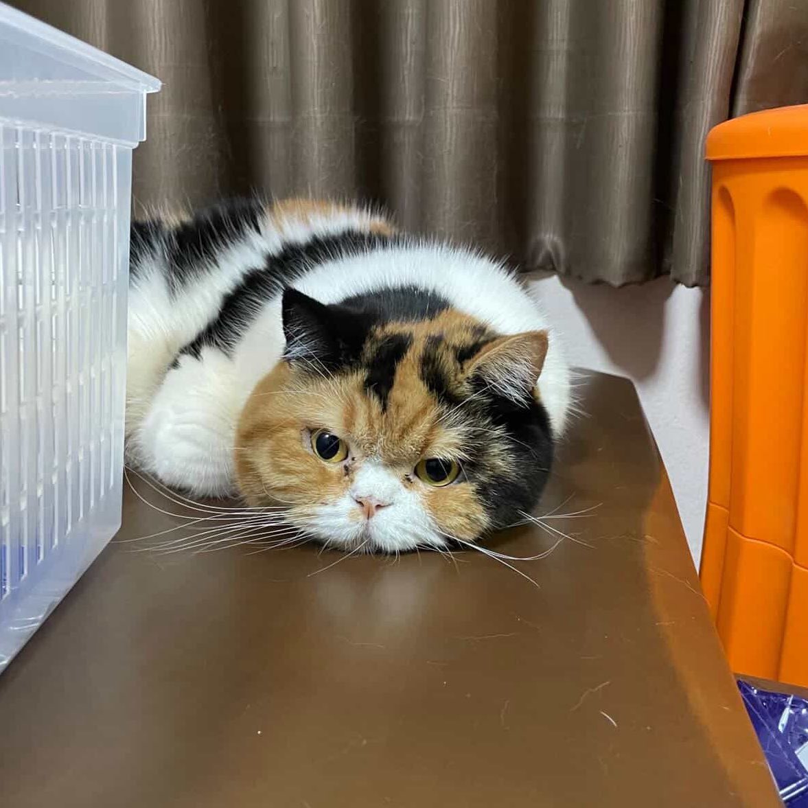 thanksgoditswork tweet media