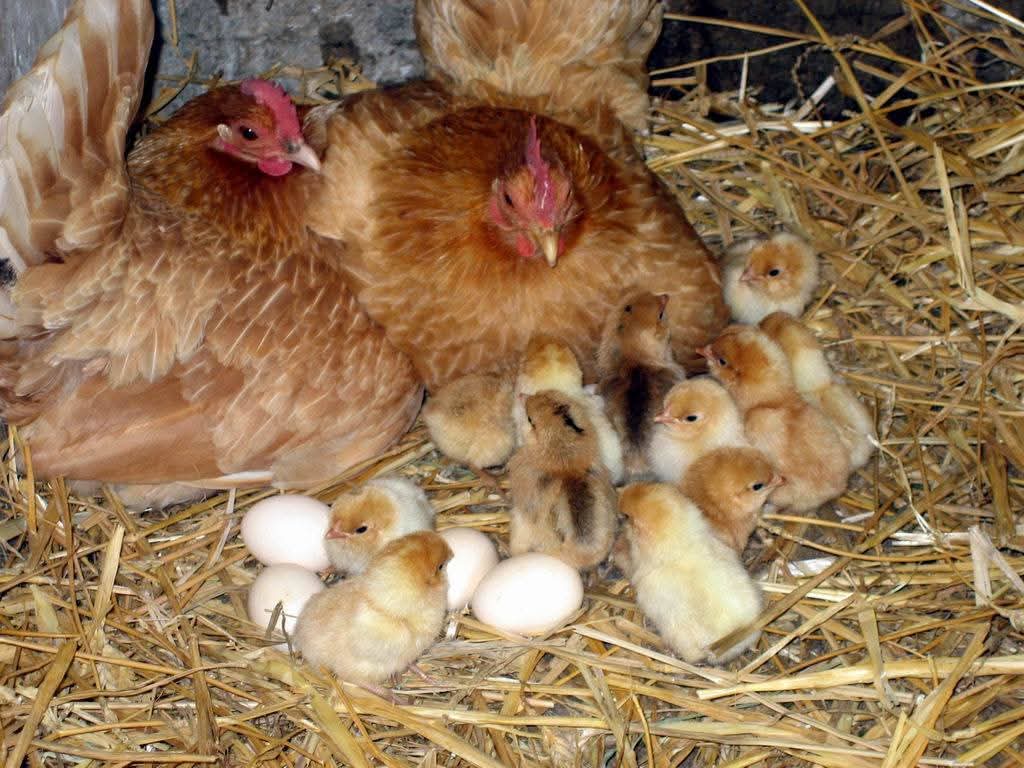 Andreas Yfantis tweet media