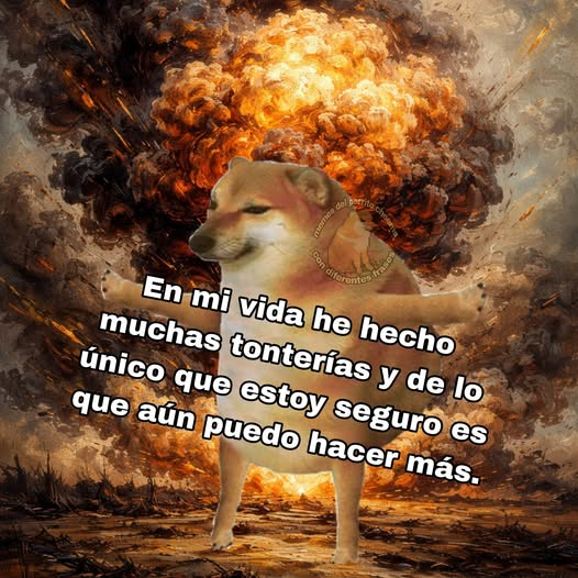 LA PULGATUSA tweet media