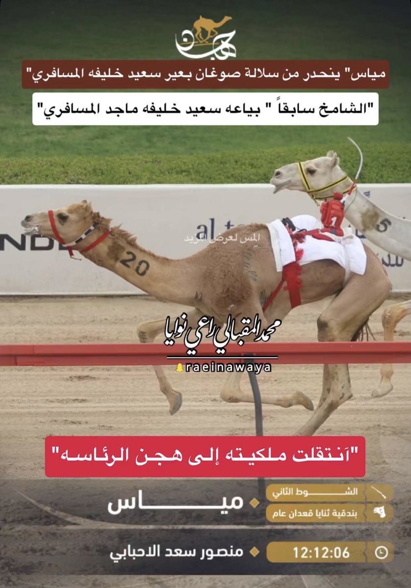 بدر آبن دخيل الهاجري tweet media