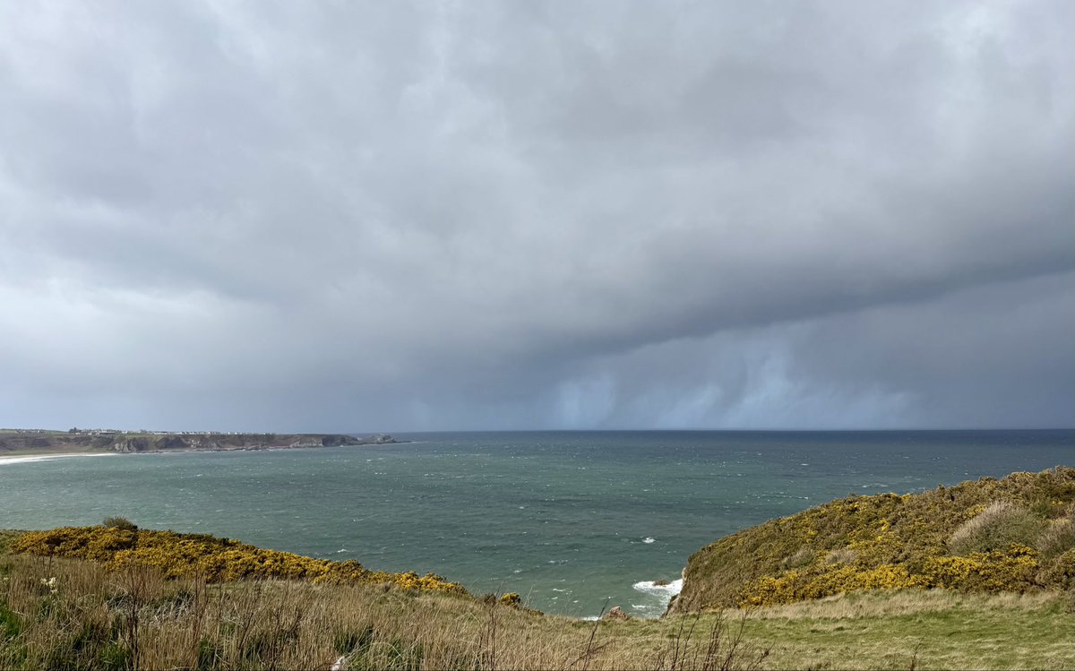 Debby Thorne tweet media