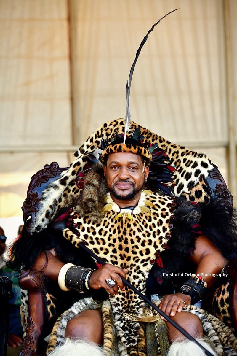 Savvy Mix tweet media