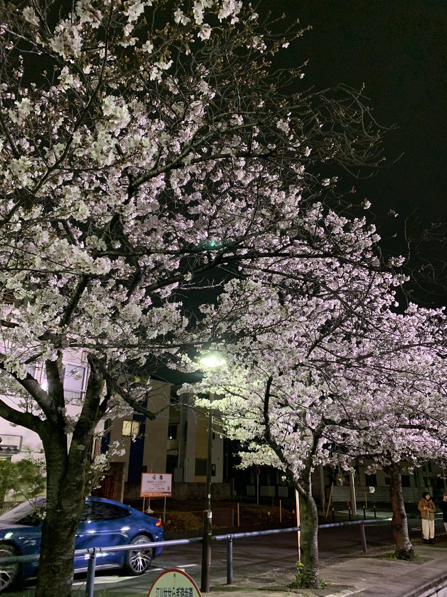 メタボリックマグナム44 tweet media