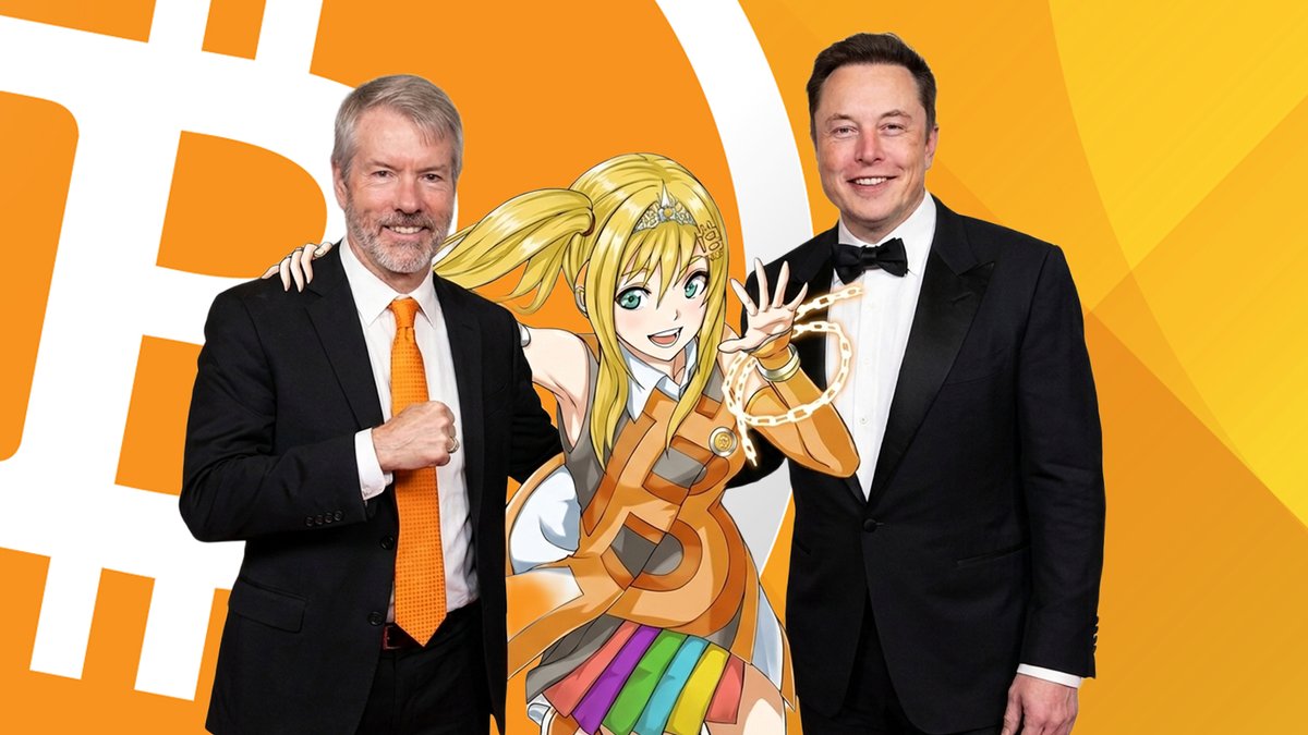 Binary Cat tweet media