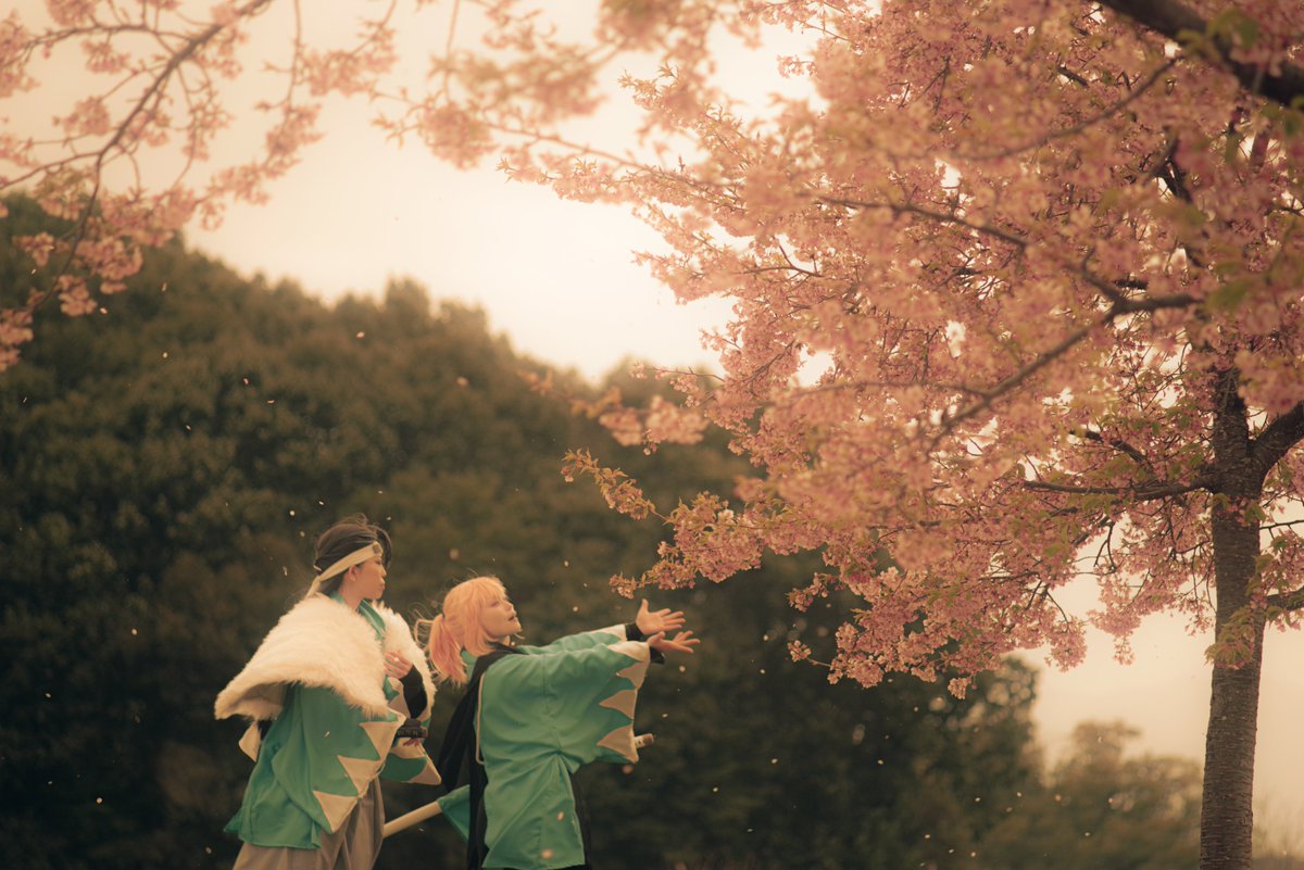 📸ば。 tweet media