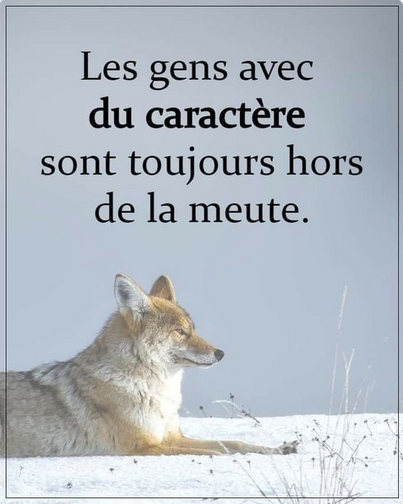 Amanda 🇫🇷 tweet media