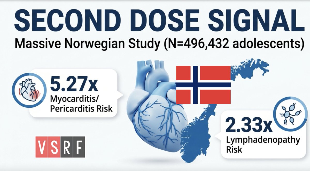 Vaccine Safety Research Foundation tweet media