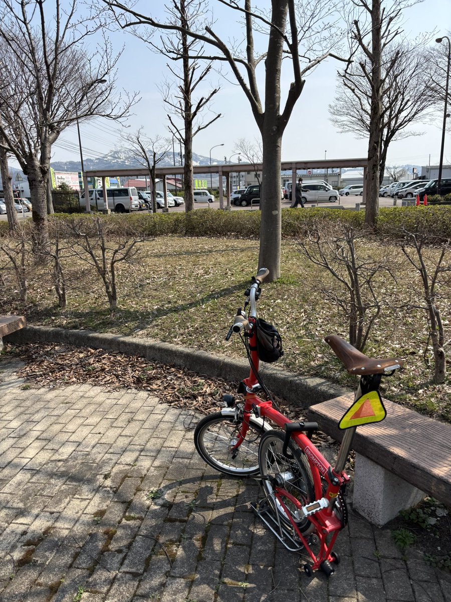 八月+1 tweet media