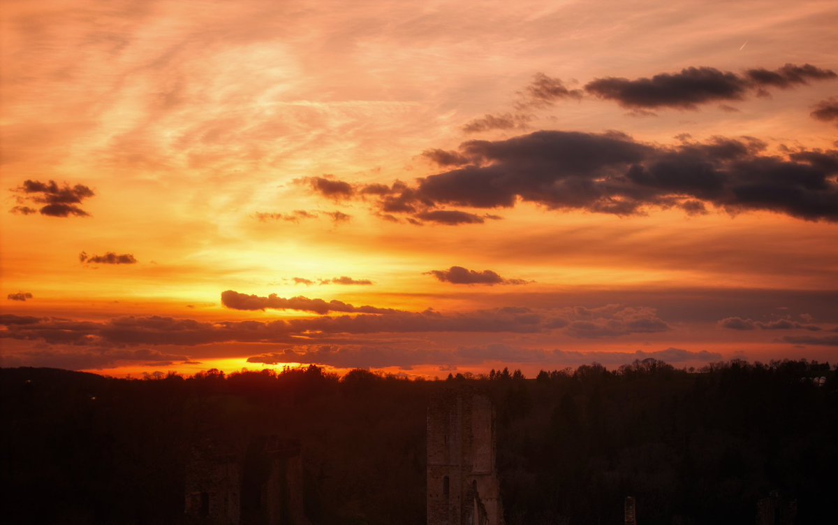 Sly Drone tweet media