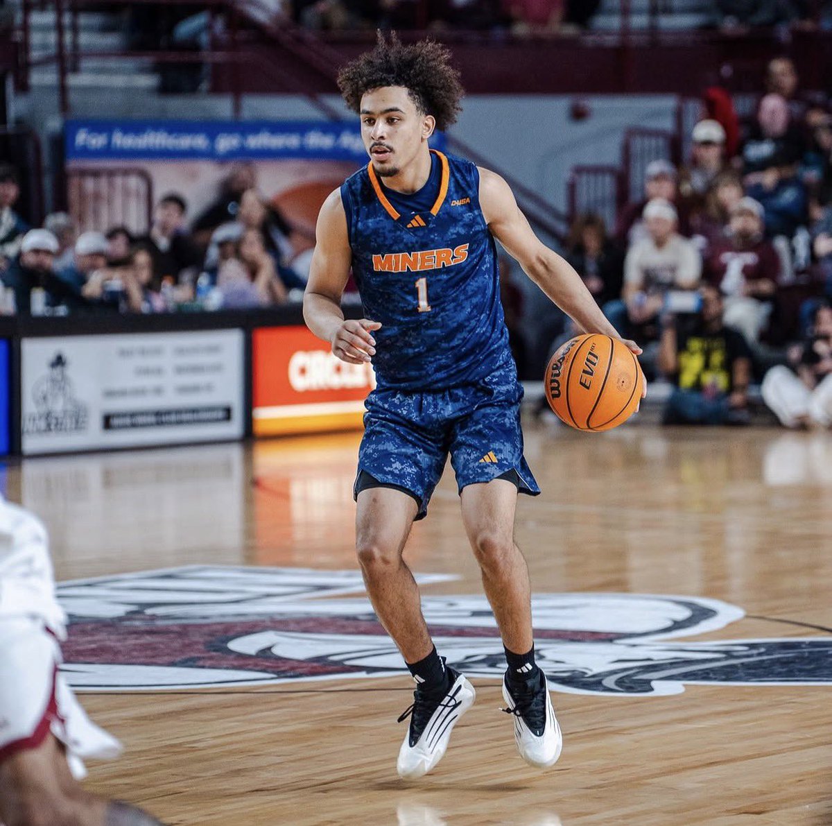 Tobias Bass tweet media