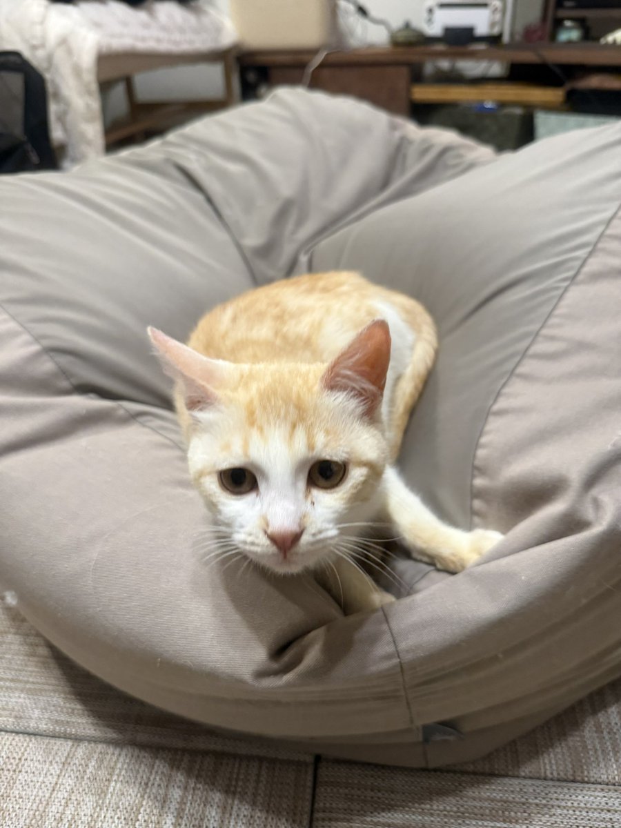 Macha_Zo tweet media