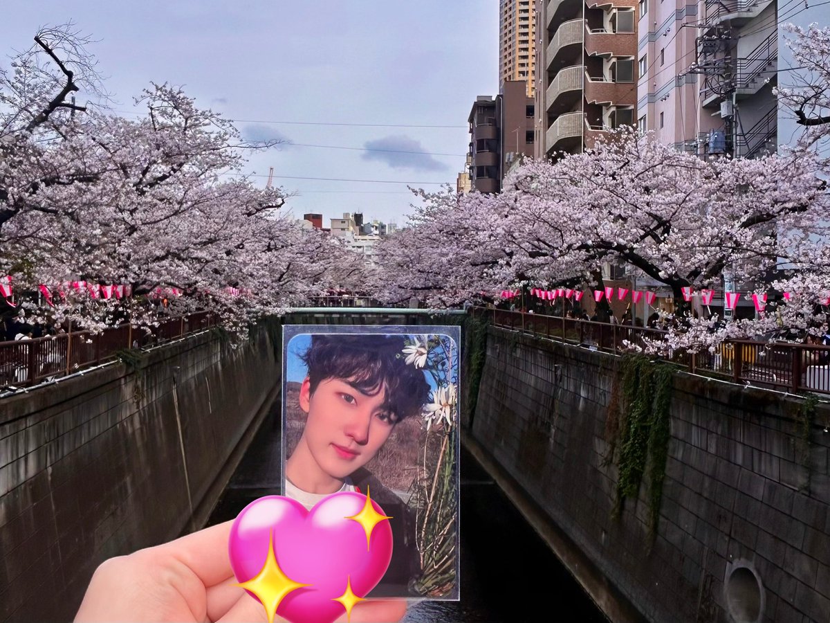 🅚🅝 tweet media