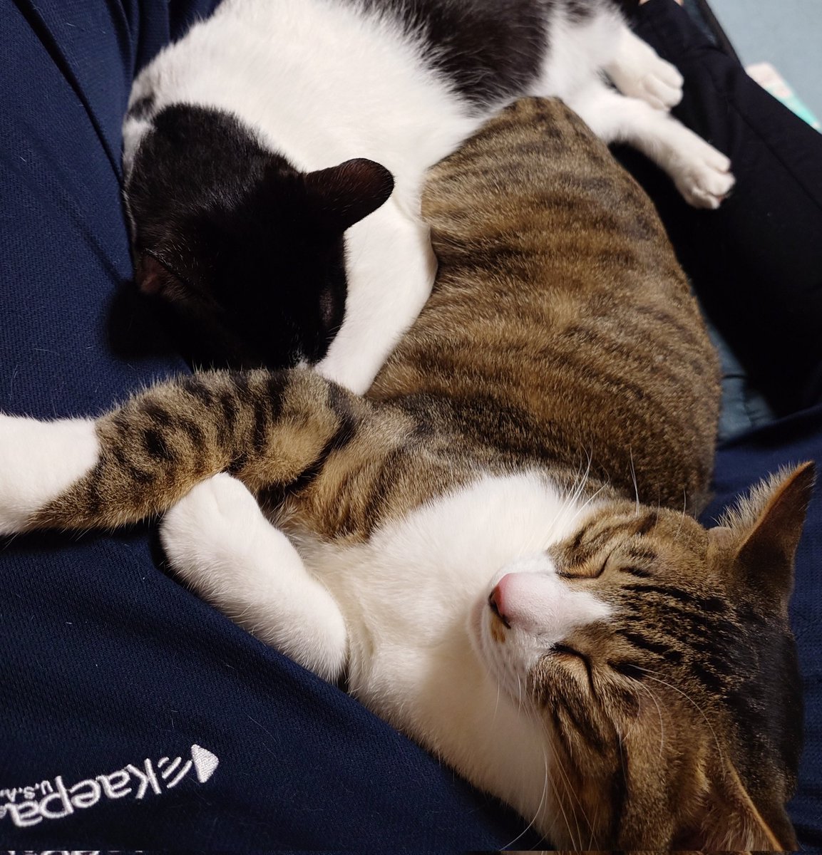 じゅん@❌1 tweet media