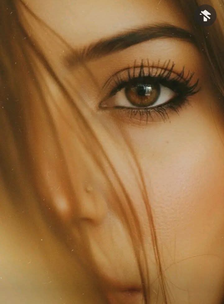 🇵🇰 Zara_Hiyat🇵🇰 tweet media