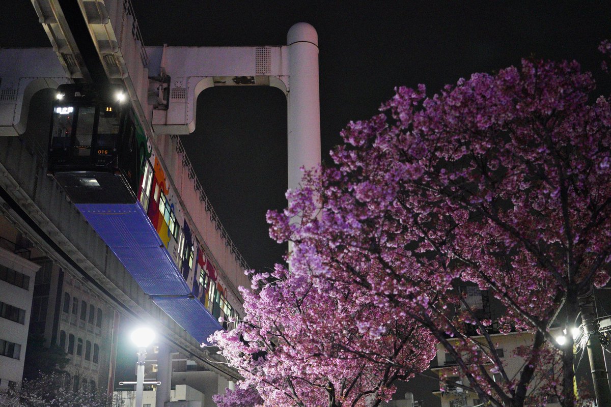 ponzou_'s tweet photo. 2026.03.30
지바시 모노레일
밤에도 촬영에 가서 벚꽃과 함께 촬영했습니다.
임기응변으로 촬영할 수 있도록 삼각대는 없이 촬영했습니다.
노이즈는 많습니다만, 좋은 것이 촬영 할 수 있었습니다.
소니α9Ⅱ
Carl Zeiss Batis 2/40 CF
Sony FE 70-200mm F4 G OSS https://t.co/aoqs0adYZv