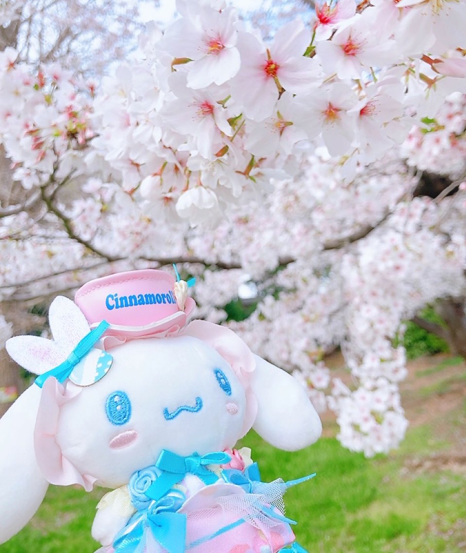 じな🍡🍥 tweet media