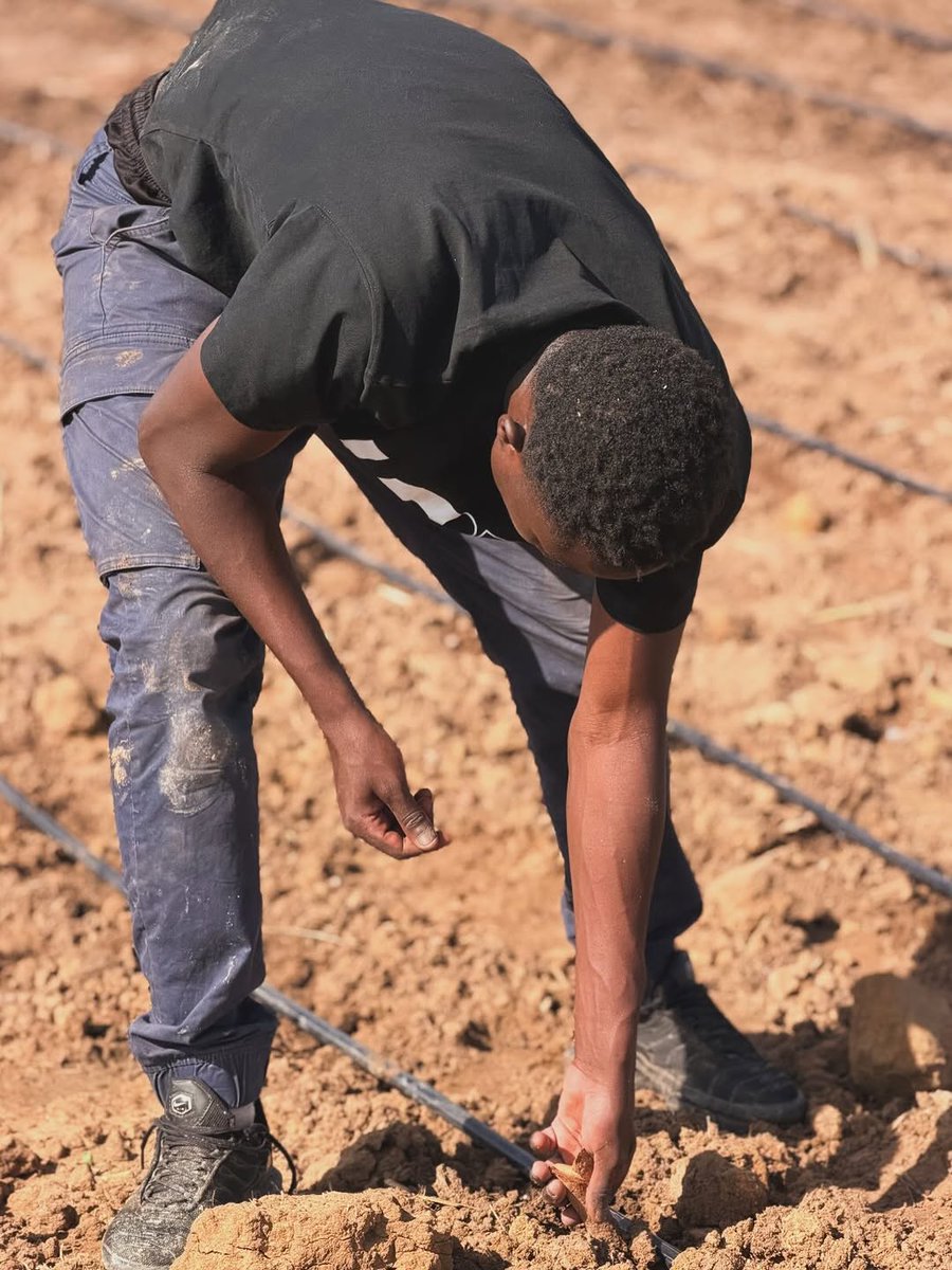 LE FERMIER PAUL 🇨🇲 tweet media