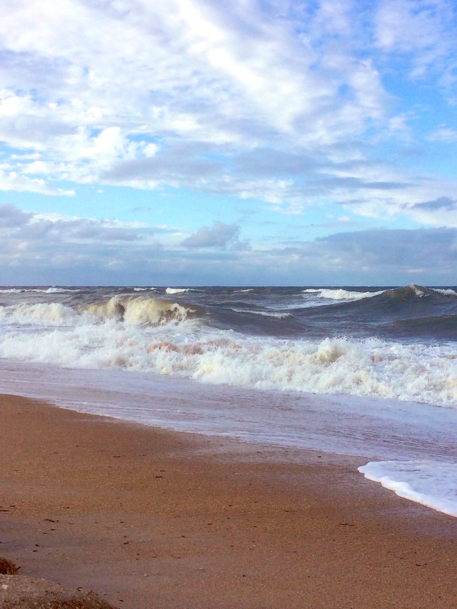 MaryCate Delvey tweet media