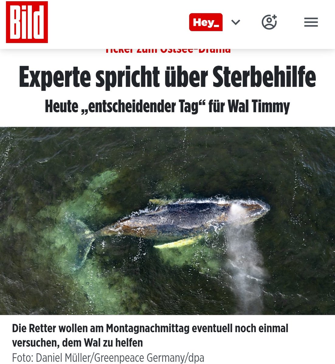 severin tatarczyk tweet media