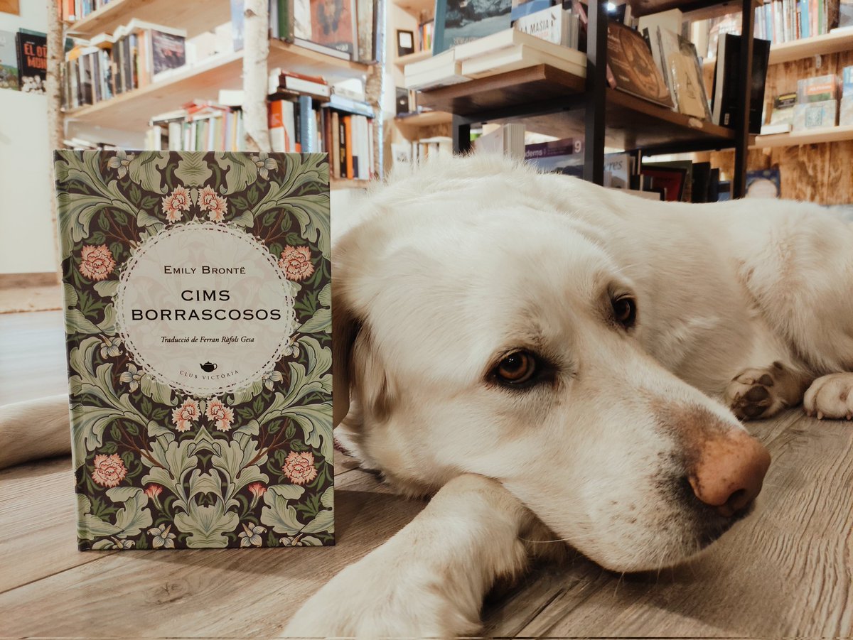 NaturaLlibres tweet media