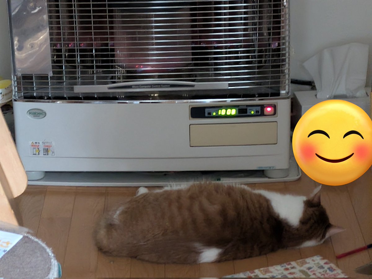 ぱぱぱお tweet media