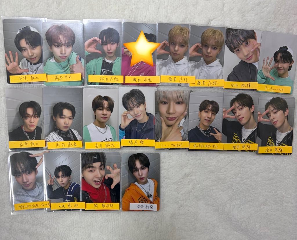 今日のわんこ tweet media