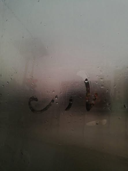 أماليا نبيل♥️🎼 tweet media