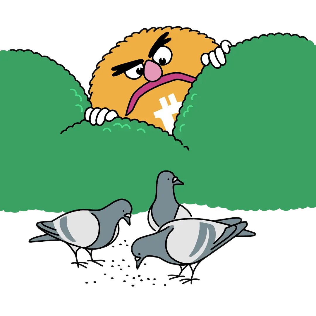 Xen0B tweet media