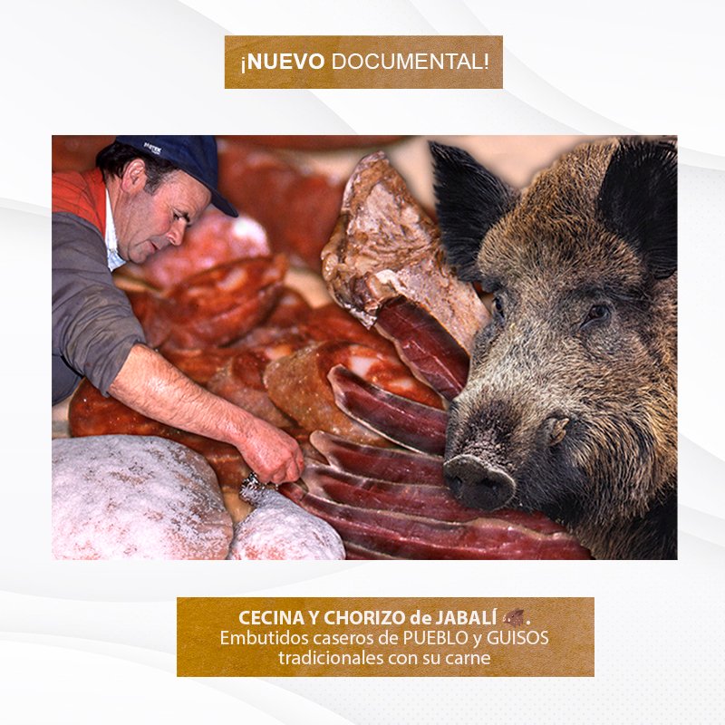 EugenioMonesma's tweet photo. 🔴🎥 ESTRENO | #CECINA Y #CHORIZO de #JABALÍ 🐗. Embutidos caseros de pueblo y guisos tradicionales con su carne. #OficiosPerdidos
🕣 HOY a las 20:30h en mi canal de #Youtube: https://t.co/4wT6MW1ZGm
⏲️ Duración: 22 minutos
¡Espero que os guste! 😀 https://t.co/NMvtpDlDVF