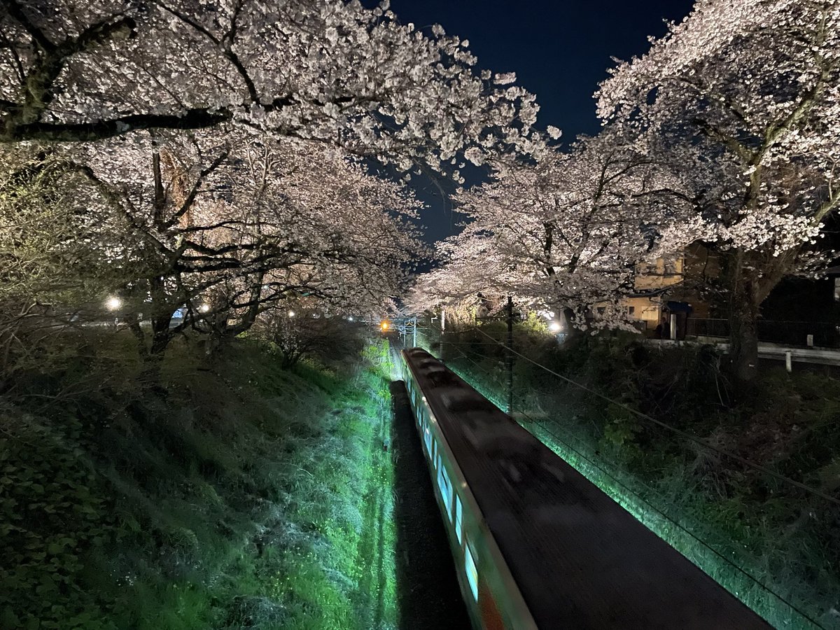 マリマリ tweet media