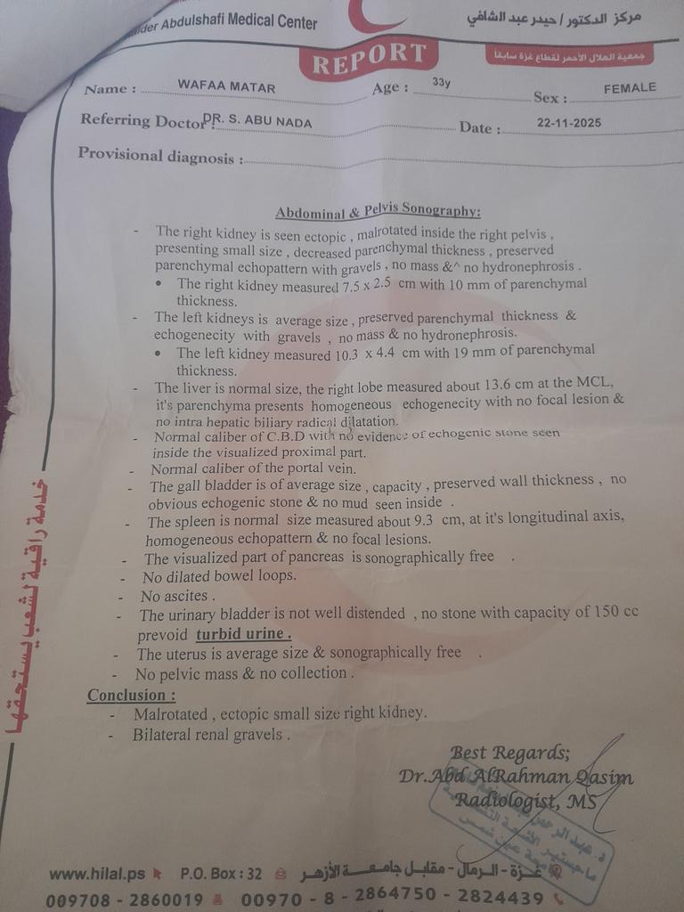 Wafaa kanan😥🥹💔✌ tweet media