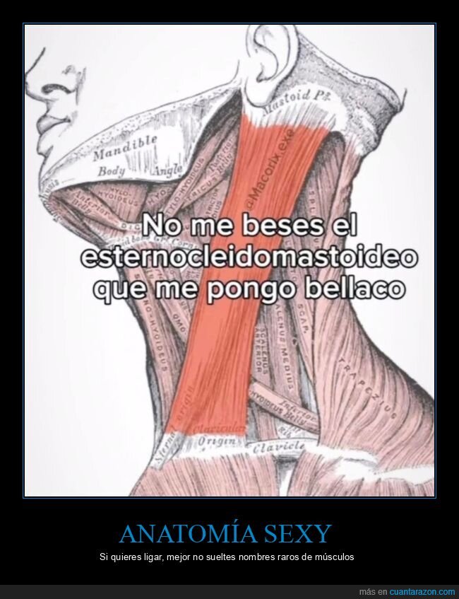 Cuánta Razón tweet media