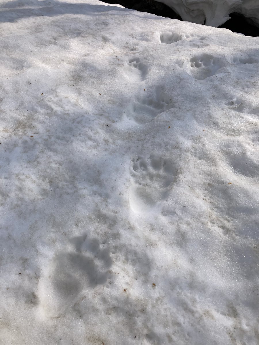 タスキー@長野移住しますた tweet media