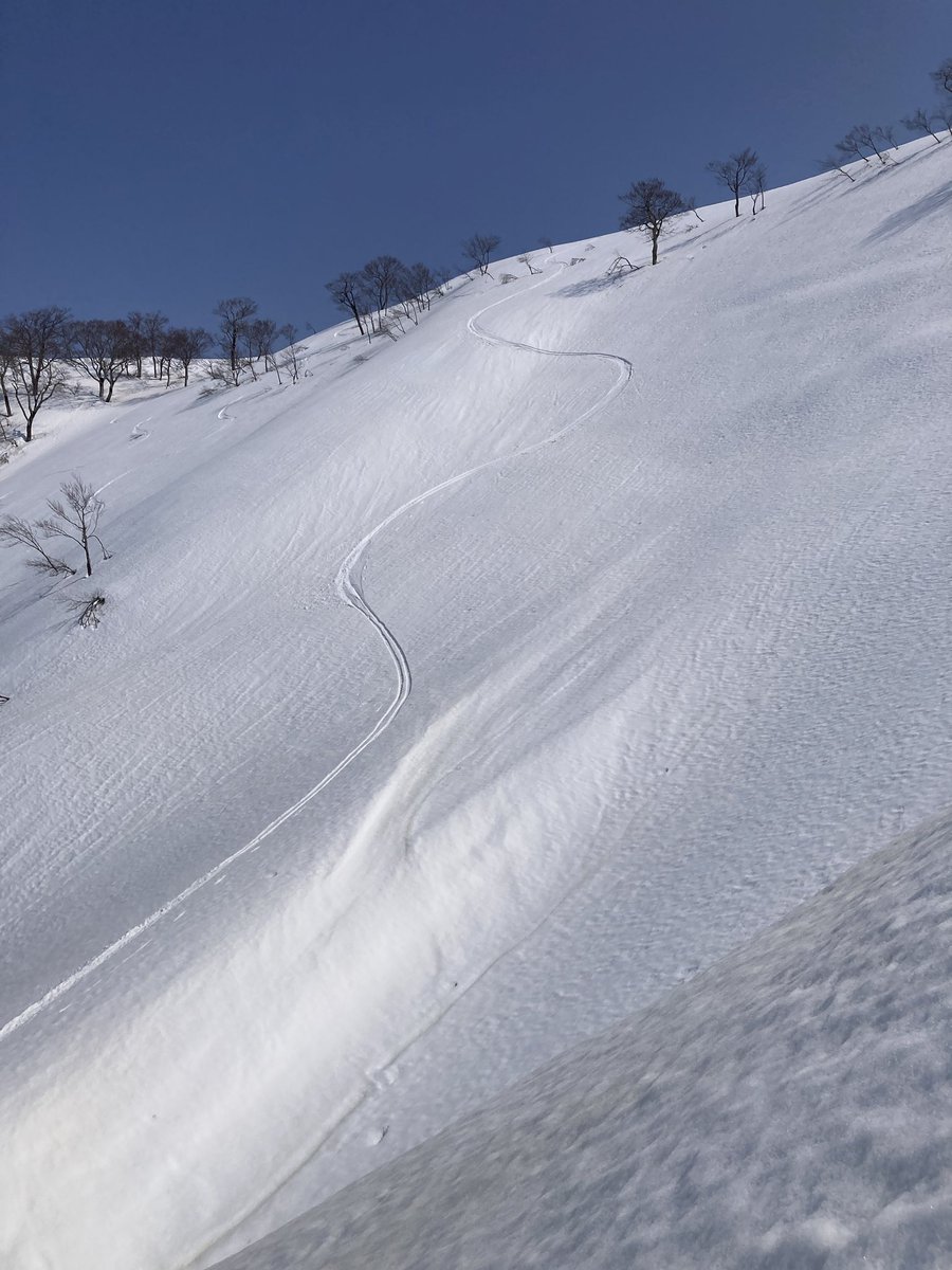 タスキー@長野移住しますた tweet media