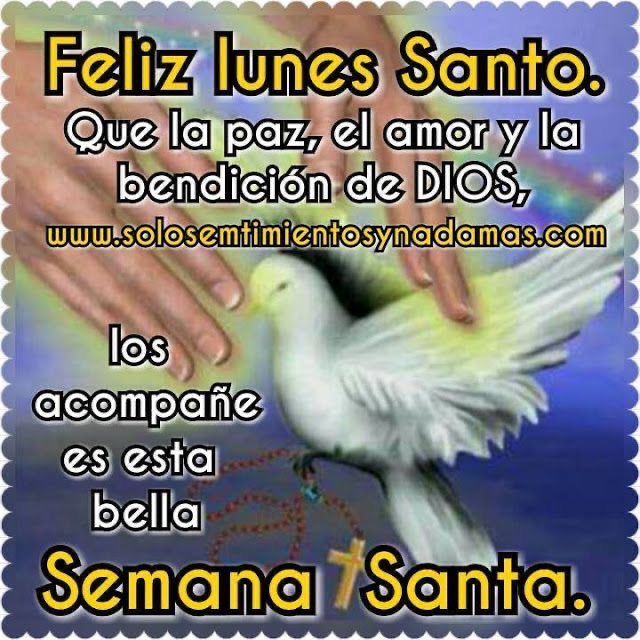 Malangafat01 tweet media