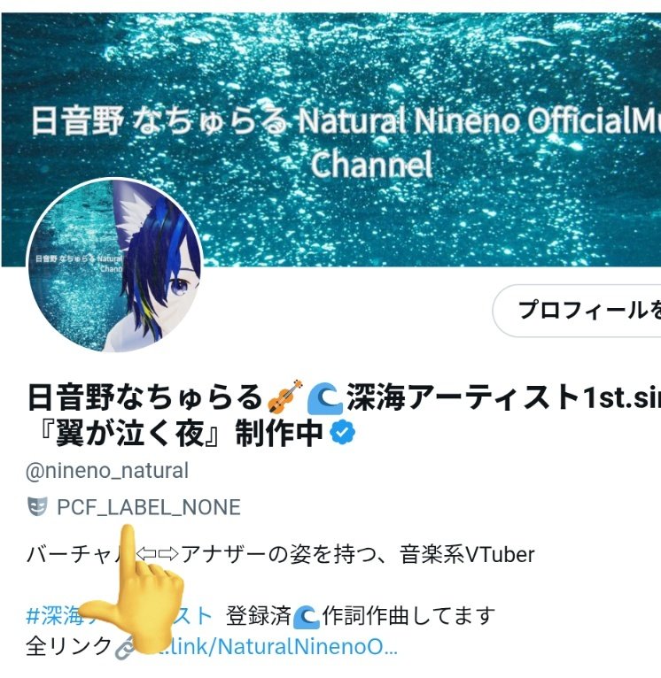 バグだそうです… PC版及びブラウザ版のみで見えるようになってるバグだ