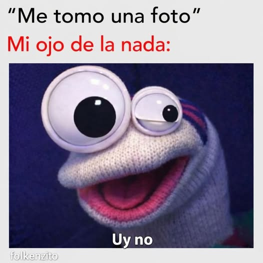 LA PULGATUSA tweet media