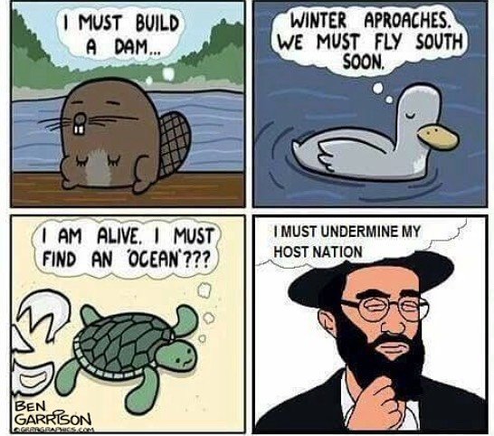 Dr Jan Svensson tweet media