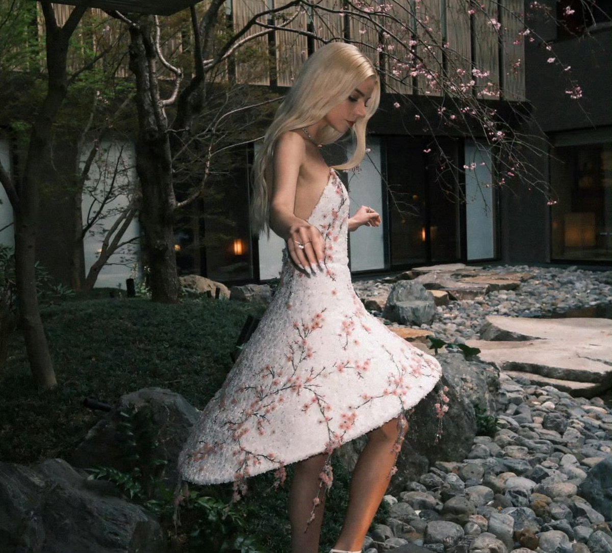 roo𐙚 ๋࣭⭑ tweet media