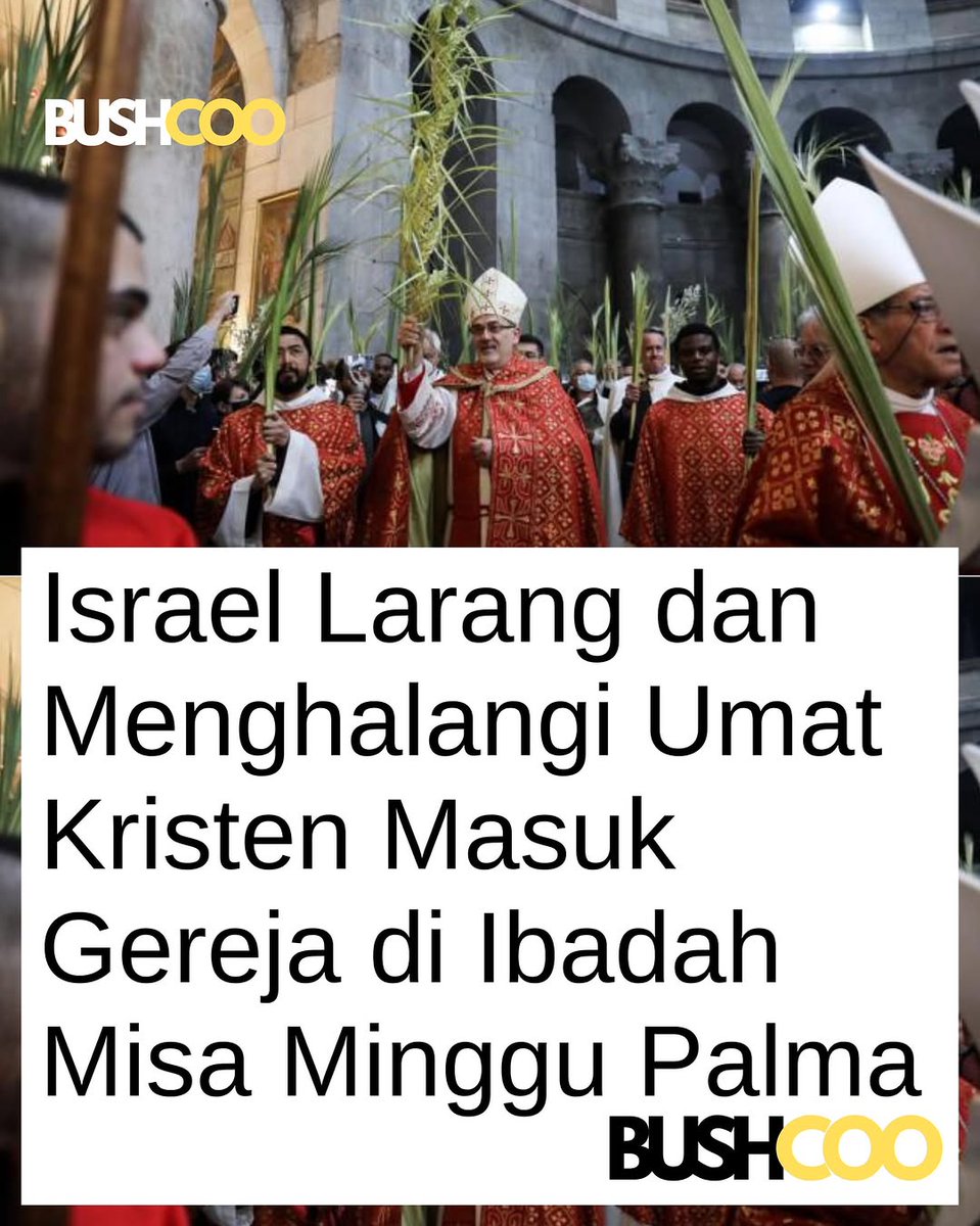 💞🇲🇨F꙯A꙯🇲🇨💞 tweet media